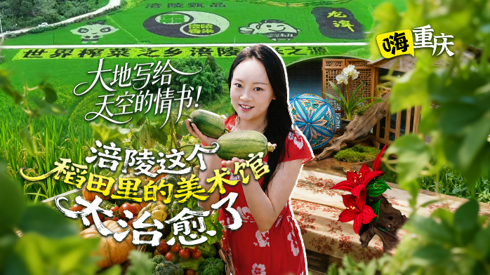 嗨重庆丨大地写给天空的情书！涪陵这个“稻田里的美术馆”太治愈了