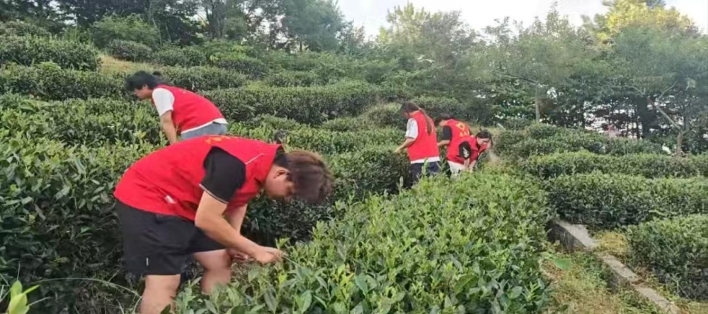 上传图片