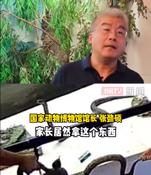 上传图片