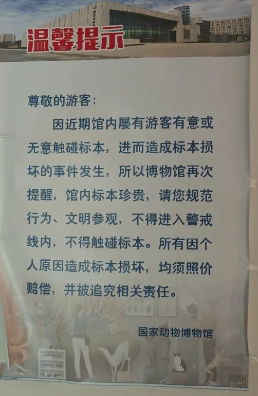 上传图片