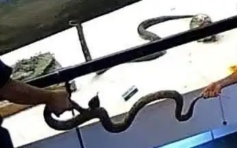 上传图片
