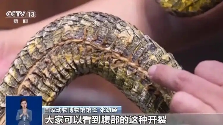 上传图片